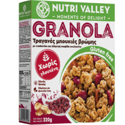 Τραγανά δημητριακα με cranberries χωρις γλουτενη Welly με αποξηραμένη σταφίδα