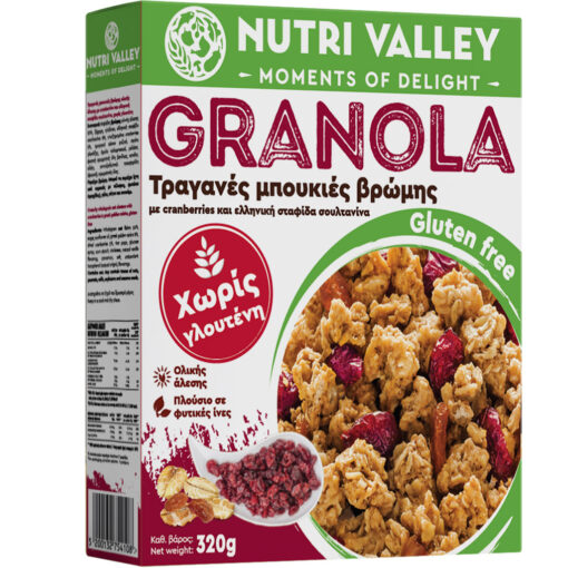 Granola με Cranberries & Σταφίδα Welly Χωρίς Γλουτένη Www.celiacshop.gr